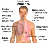 Zatürre Bulaşıcı mıdır?